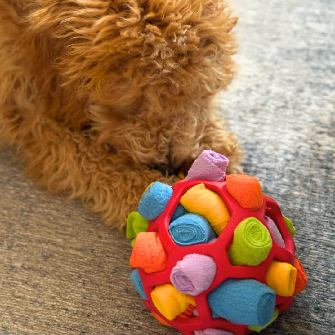 Sniff N' Treat Puzzle Ball