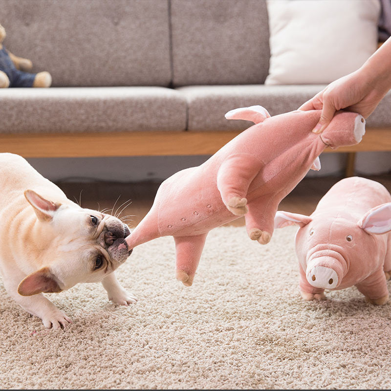 Playful Piggy (1 Piggy = 40 Meals)