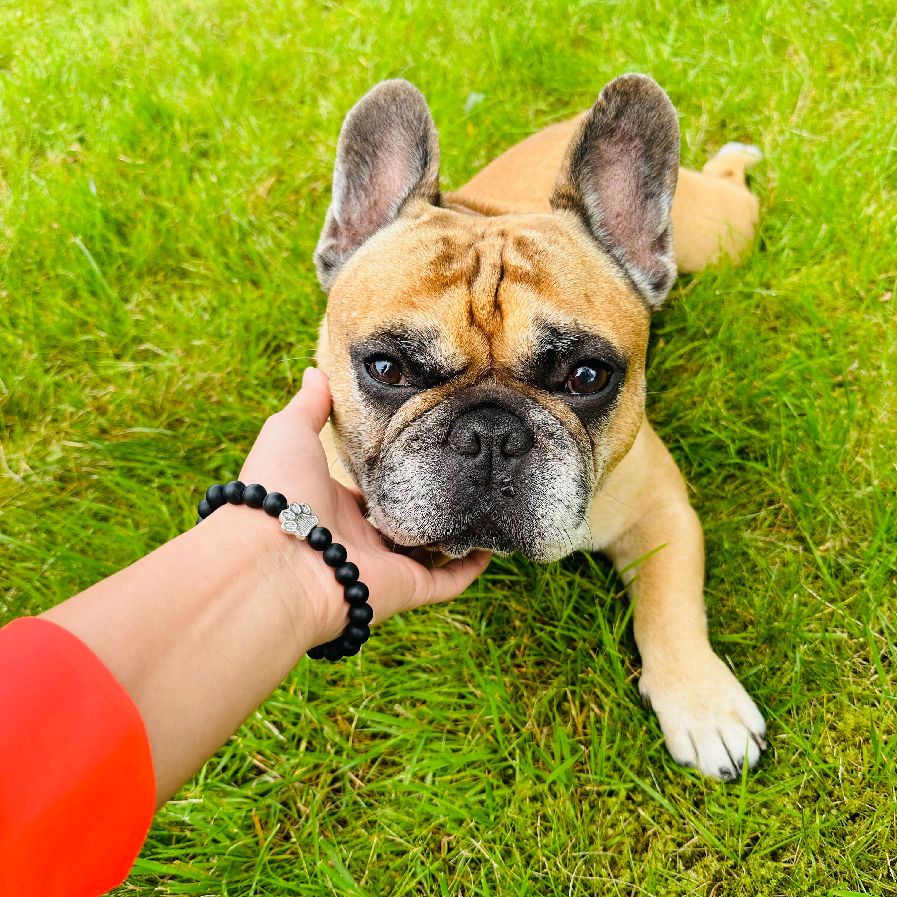 I Love ALL Dogs Bracelet™