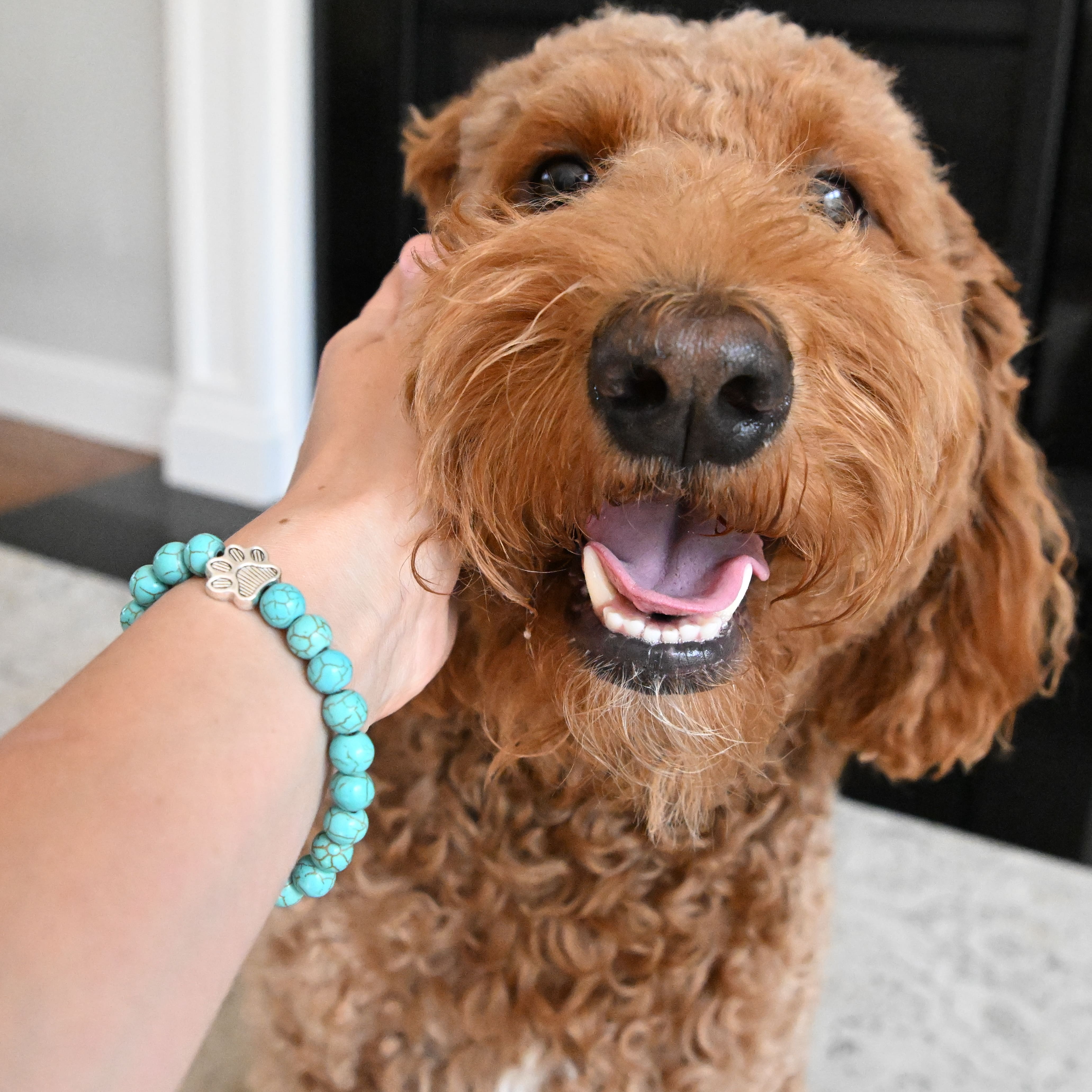 I Love ALL Dogs Bracelet™