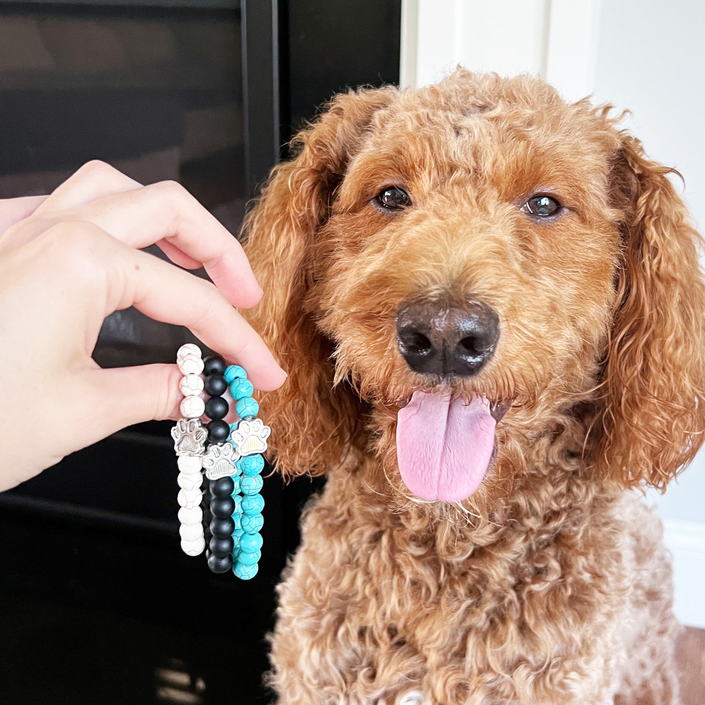 I Love ALL Dogs Bracelet™